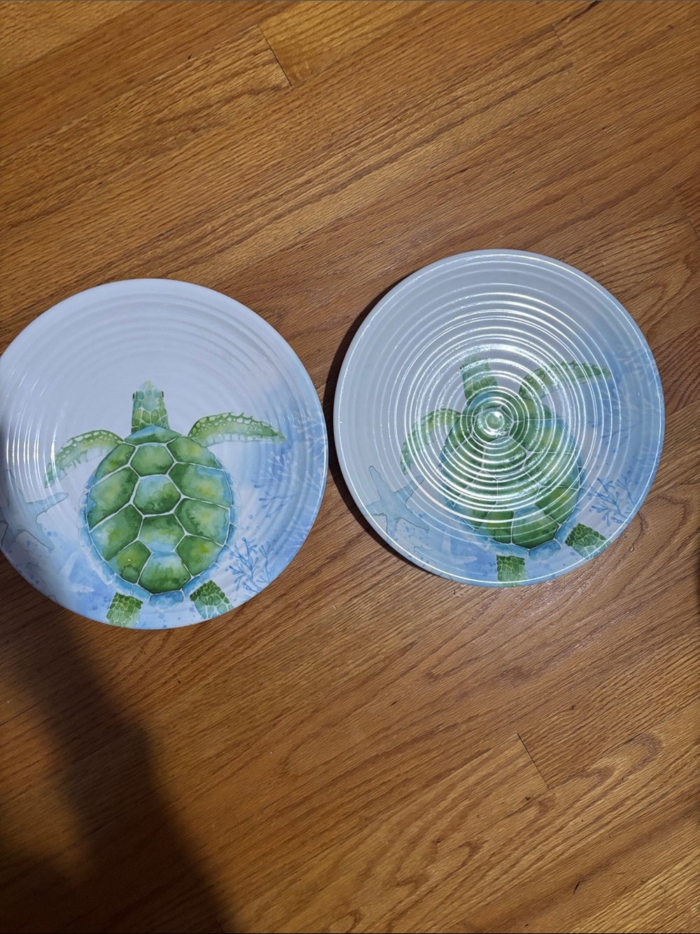 Green Sea Turtle  2  Plate Set